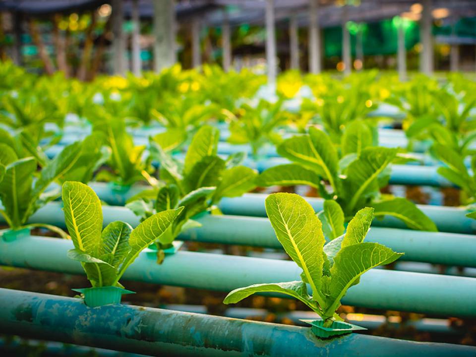Agricultural Heating Systems